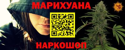 прущие грибы Балашиха