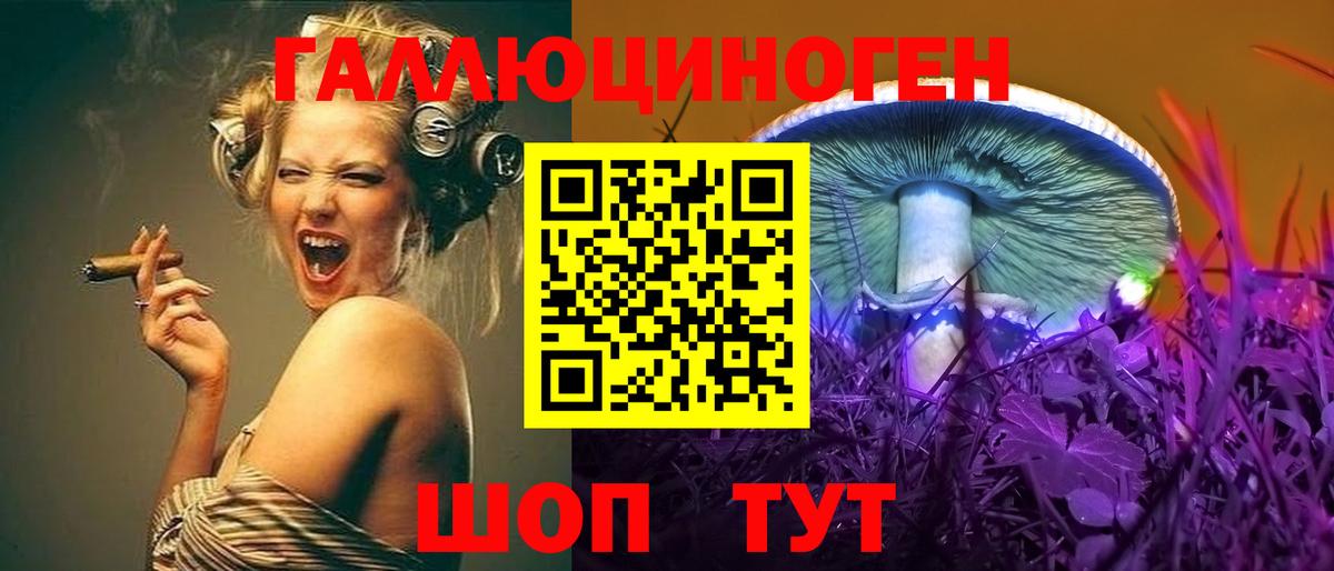 Димитровград  Псилоцибиновые грибы ЛСД  Псилоцибиновые грибы мицелий  Вход с VPN 